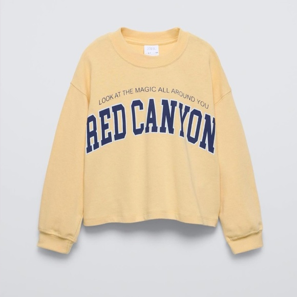 Zara yellow "Red Canyon" graphic print cropped sweatshirt - Picture 1 of 3